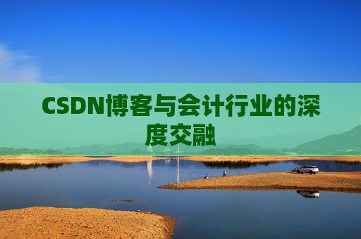 CSDN博客与会计行业的深度交融